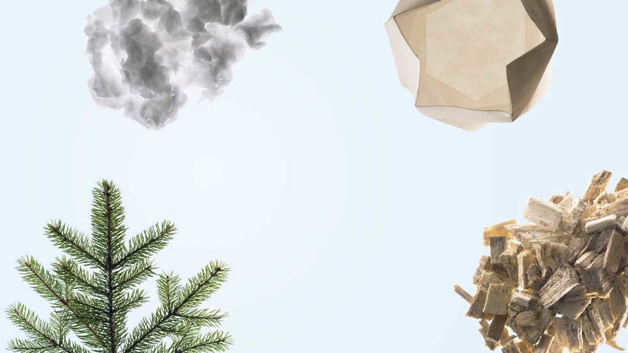 tallkvist, pappersmuskel, pappersmassa och flis på blå bakgrund