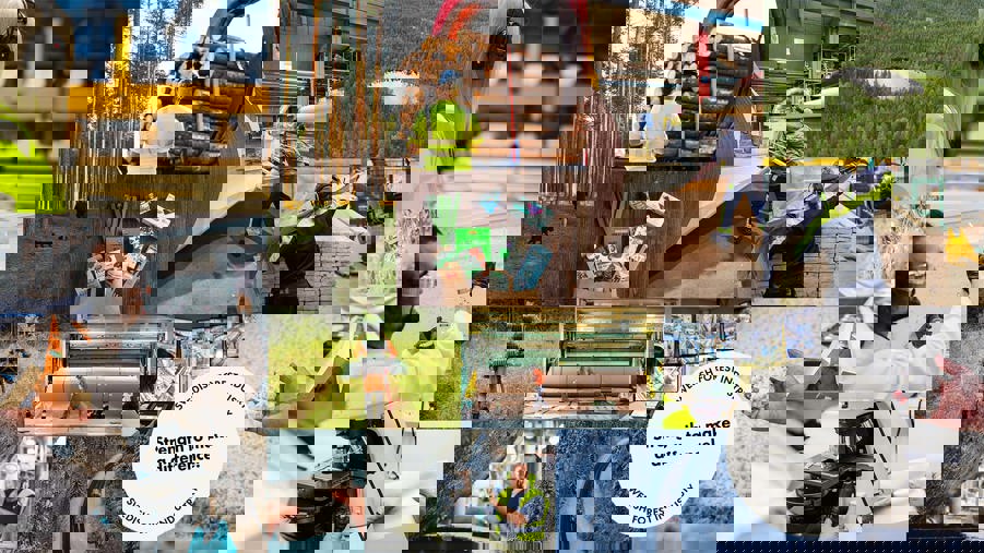 kollage med bilder från svensk skogsindustri